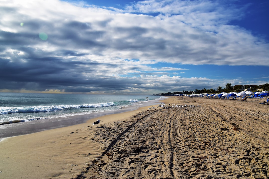Delray Beach Concours d'Elegance Blends Gatsby Glamour with Automotive Excellence