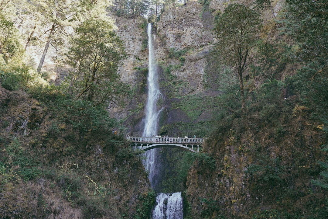 Century-Old Columbia River Highway Viaduct Reopens After Meticulous Restoration